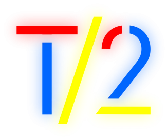 T2